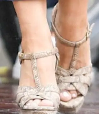 Picture of Sofia Vergara shoes