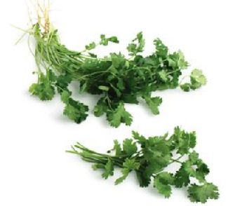 Image with the words Celebrity Chef Cilantro Meal Ideas