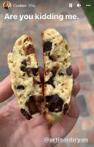 Picture of what does Jenna Fischer eat - Picture of Homemade Sourdough Chocolate Chip Cookies