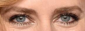 Picture of Amy Adams eyeliner, eyeshadow, and eyelash enhancements