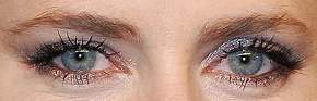 Picture of Amy Adams eyeliner, eyeshadow, and eyelash enhancements