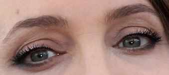 Picture of Angelina Jolie eyes, eyelashes, and eyebrows