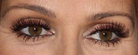 Picture of Celine Dion eye makeup, and eyebrows