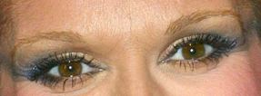 Picture of Celine Dion eye makeup, and eyebrows