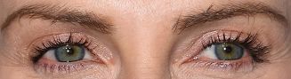 Picture of Charlize Theron eyes, eyelashes, and eyebrows