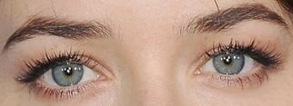 Picture of Dakota Johnson blue eyes, eyelashes, and eyebrows