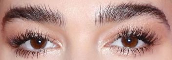 Picture of Dua Lipa eyes, eyelashes, and eyebrows