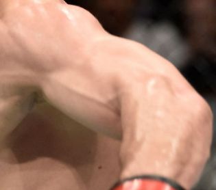 Picture of UFC Champion khabib Nurmagomedov muscles
