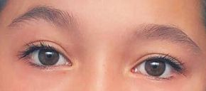 Picture of Lily Chee eyeliner, eyeshadow, and eyelash enhancements