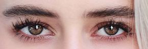 Picture of Lilyan Cole eyeliner, eyeshadow, and eyelash enhancements