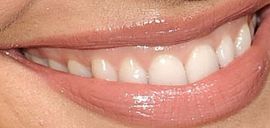 Picture of Minka Kelly teeth and smile