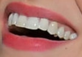 Picture of Sophia Bush teeth and smile
