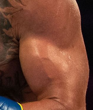 Picture of Vasyl Lomachenko muscles