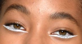 Picture of Willow Smith eyeliner, eyeshadow, and eyelash enhancements