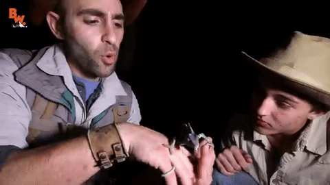 Coyote Peterson animated gif