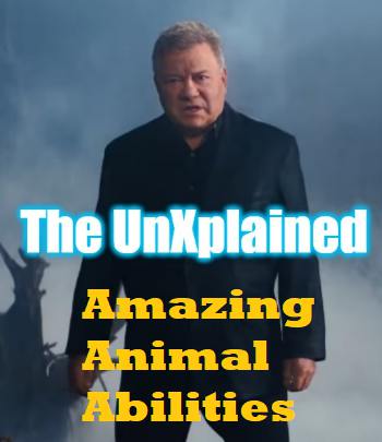 An image of Countdown To The New UnXplained Episode Amazing Animal Abilities