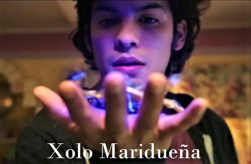 This is an image of Xolo Mariduena's