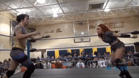 Heidi Lovelace animated gif