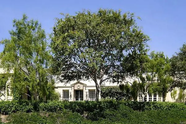 Donald Bellisario's house Montecito, California - CA home pictures