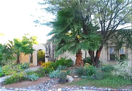 Matt Grevers house Tucson Arizona - home pictures