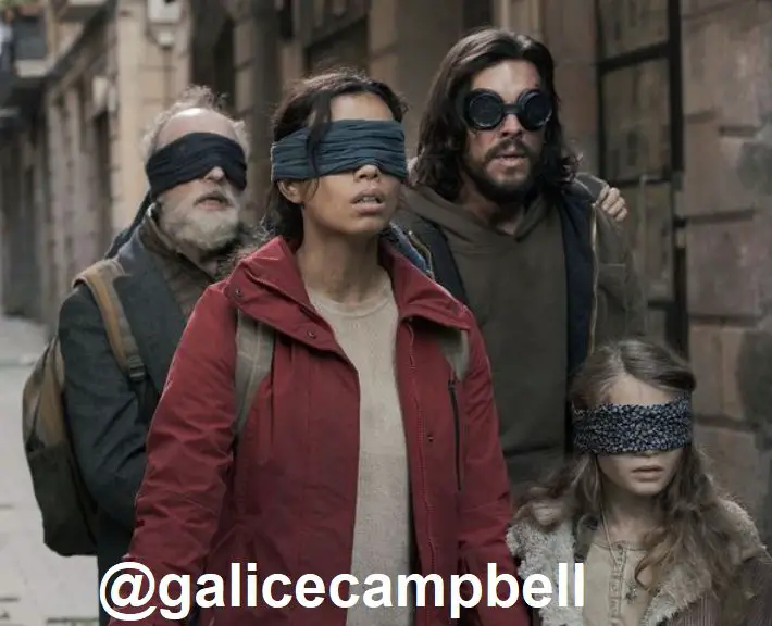 This is an image from the movie Bird Box Barcelona