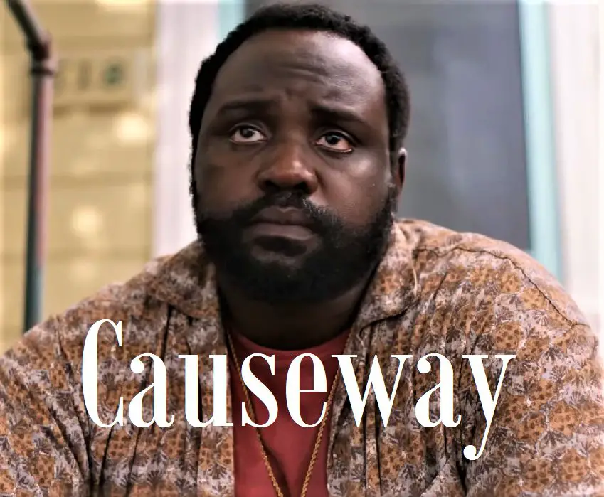 This is an image of Brian Tyree Henry from Surrounded