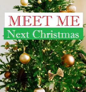 This is an image from Meet Me Next Christmas with text that reads Meet Me Next Christmas
